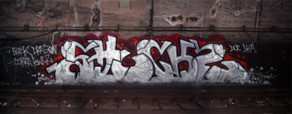 2006 / Gare de GRIGNY / RER D
