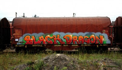 SHUCK2 BLACK DRAGON